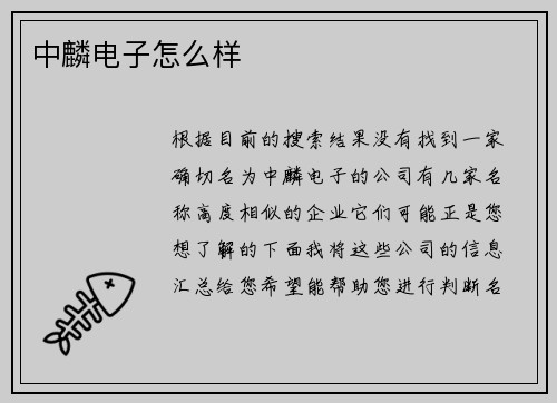 中麟电子怎么样