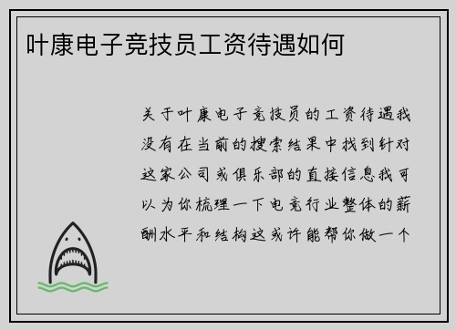 叶康电子竞技员工资待遇如何