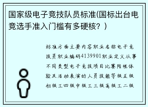 国家级电子竞技队员标准(国标出台电竞选手准入门槛有多硬核？)